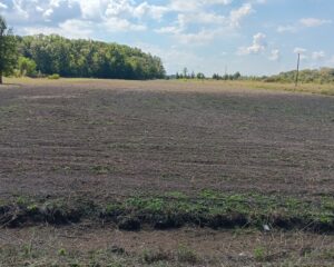 4ac-Cleared