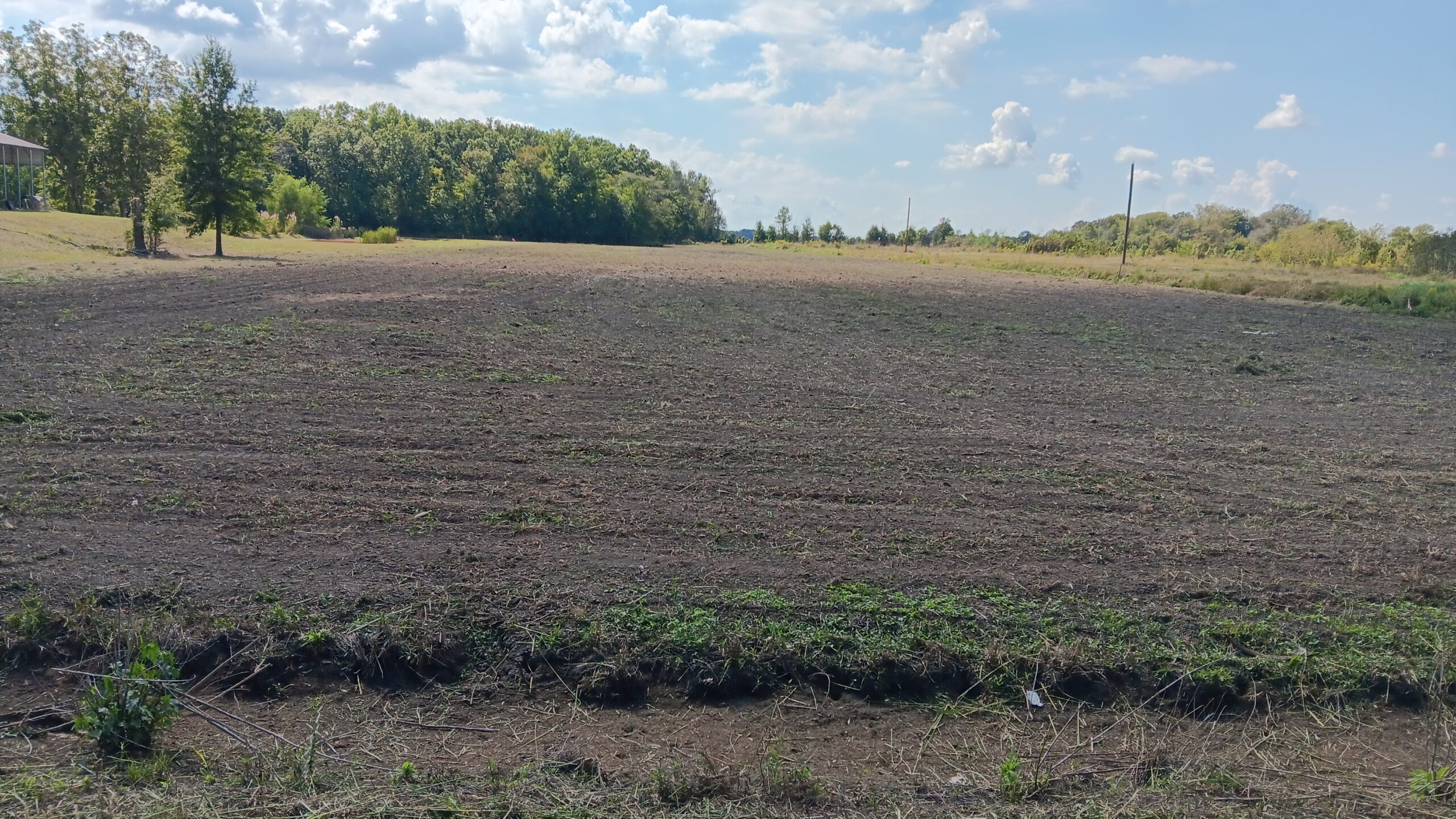 4 Acres S/E Corner Franklin Parish