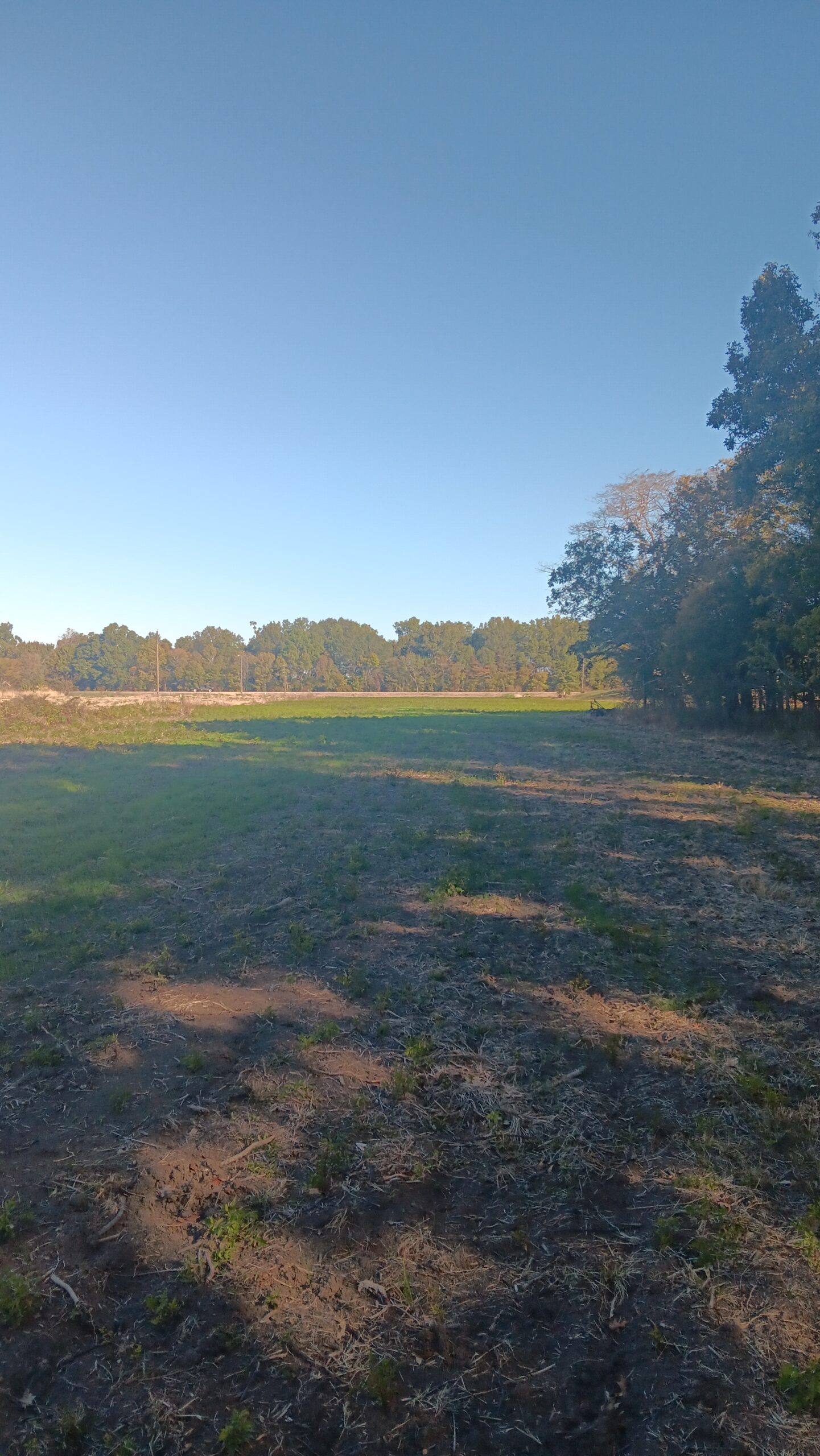 4 Acres S/E Corner Franklin Parish