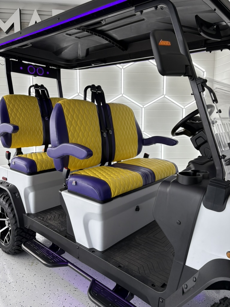 2026 Custom Denago Rover XL LSV Lithium
