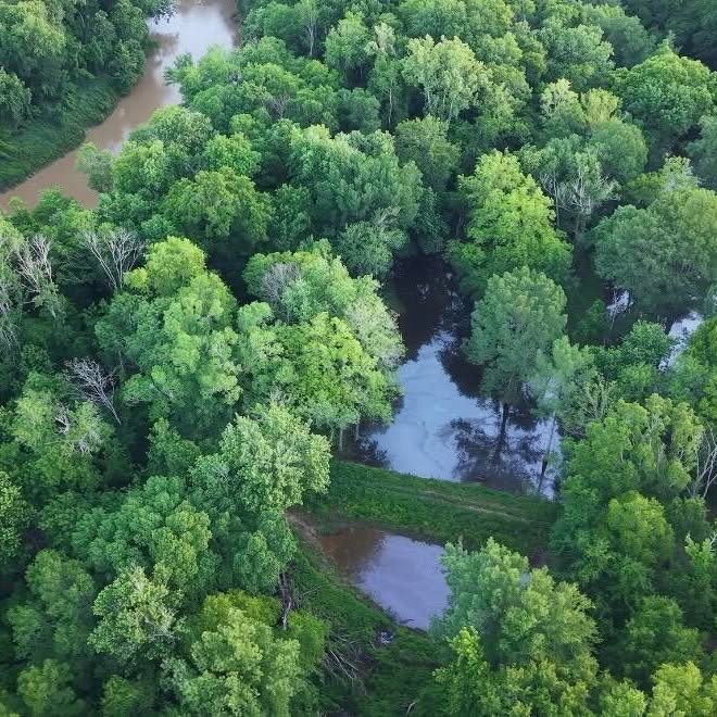 Booger Bottom Plantation 635 Surveyed Acres on Big Black River in Mississippi