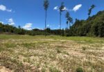 222 Acres of Hunting Land for sale in Wilkinson County, MS
