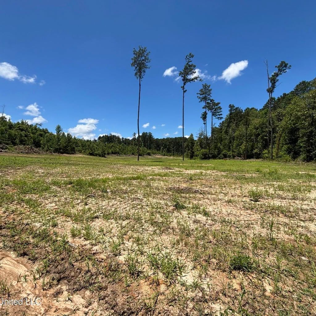 222 Acres of Hunting Land for sale in Wilkinson County, MS