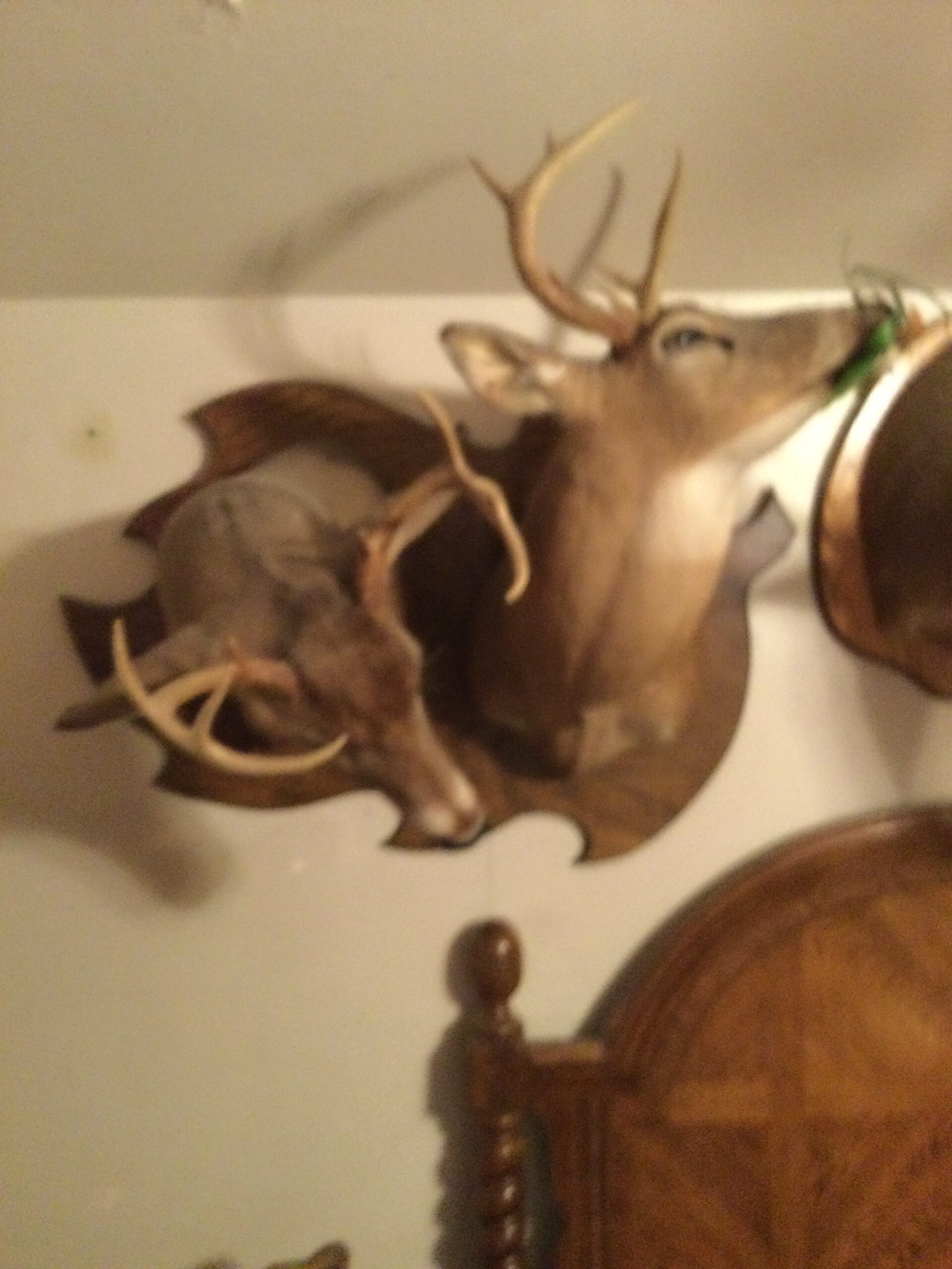 Double Head Deer 🦌 Mounts