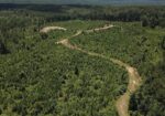 222 Acres of Hunting Land for sale in Wilkinson County, MS