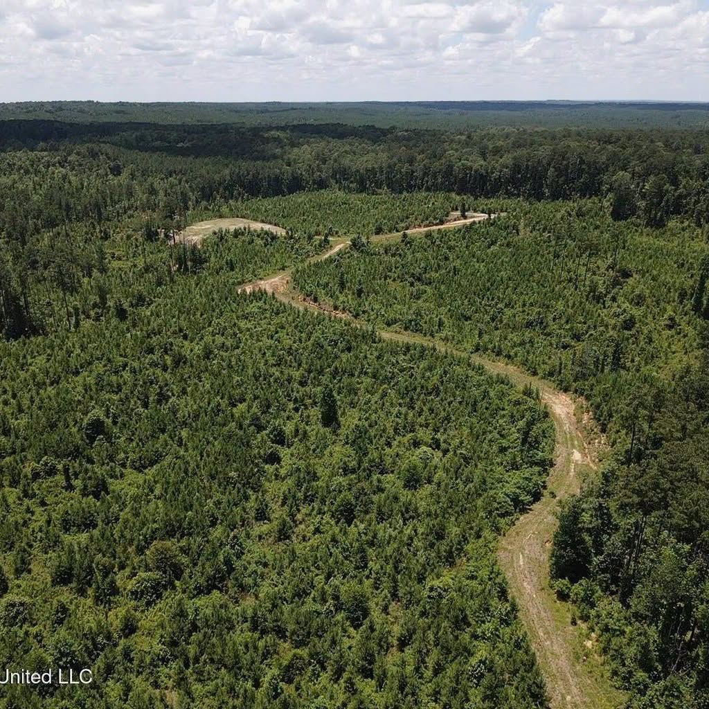 222 Acres of Hunting Land for sale in Wilkinson County, MS