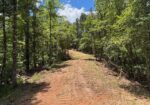 222 Acres of Hunting Land for sale in Wilkinson County, MS