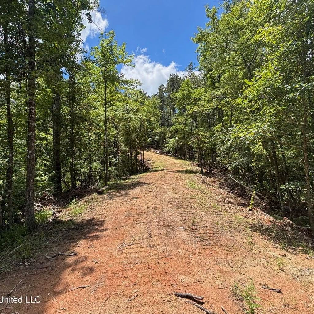 222 Acres of Hunting Land for sale in Wilkinson County, MS