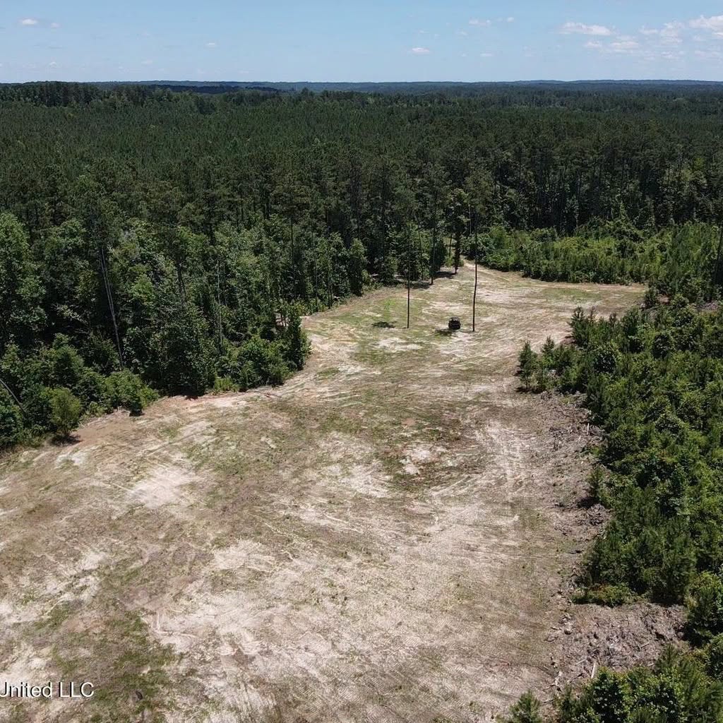 222 Acres of Hunting Land for sale in Wilkinson County, MS