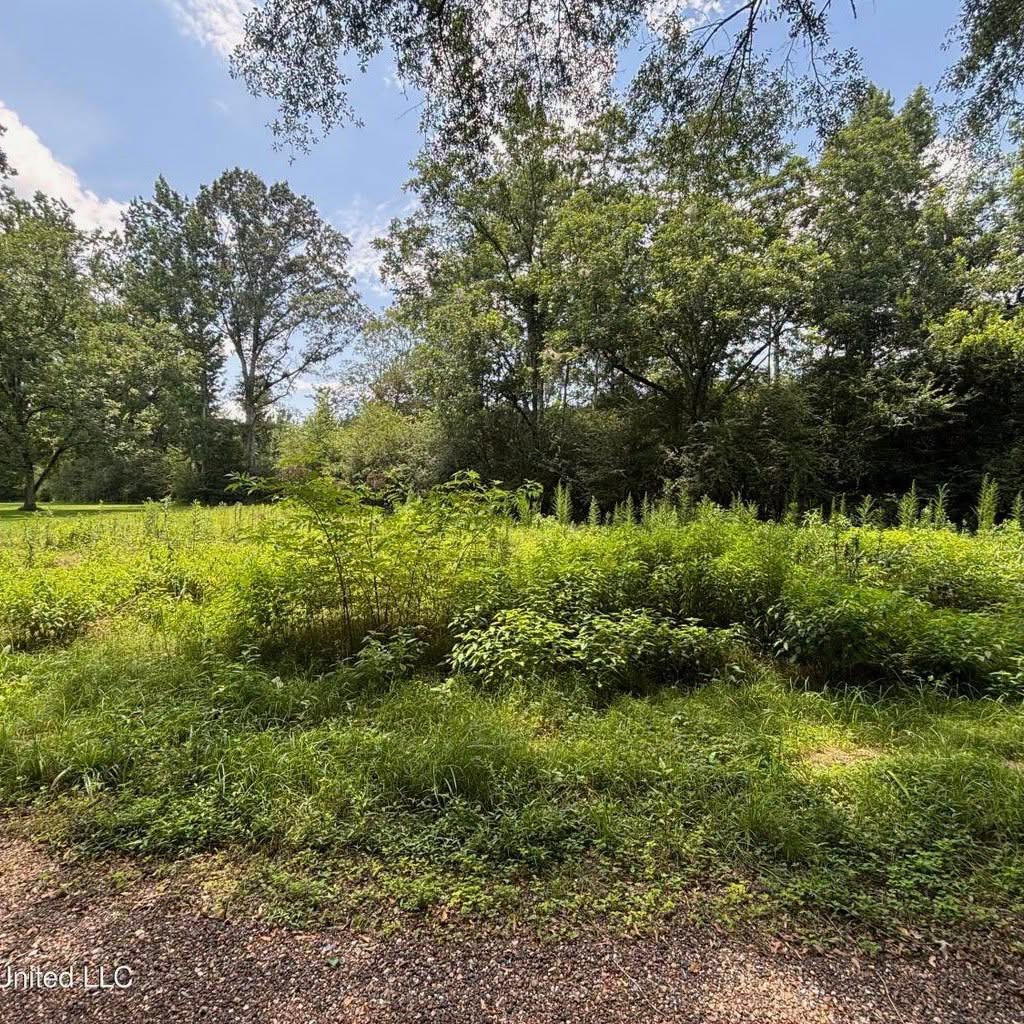 37 Acres in Smith County, MS Recreational Property with Multiple Homes Sites