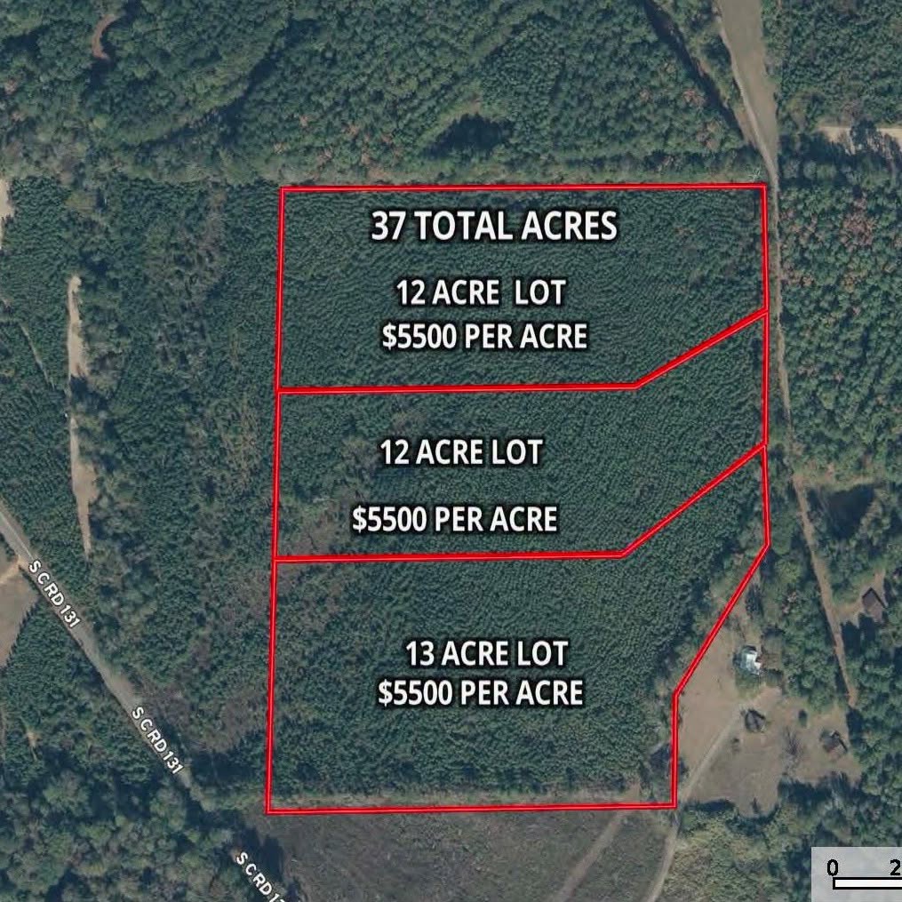 37 Acres in Smith County, MS Recreational Property with Multiple Homes Sites