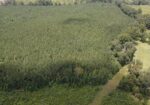 37 Acres in Smith County, MS Recreational Property with Multiple Homes Sites