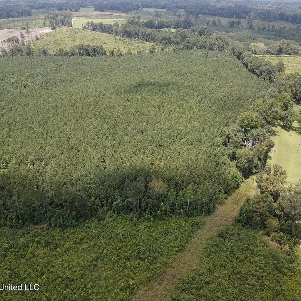 37 Acres in Smith County, MS Recreational Property with Multiple Homes Sites