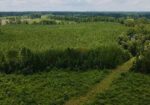 37 Acres in Smith County, MS Recreational Property with Multiple Homes Sites