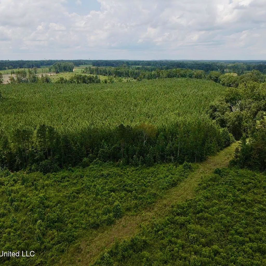 37 Acres in Smith County, MS Recreational Property with Multiple Homes Sites
