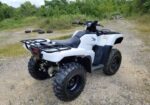 2017 Honda Foreman Rubicon 4×4 500c