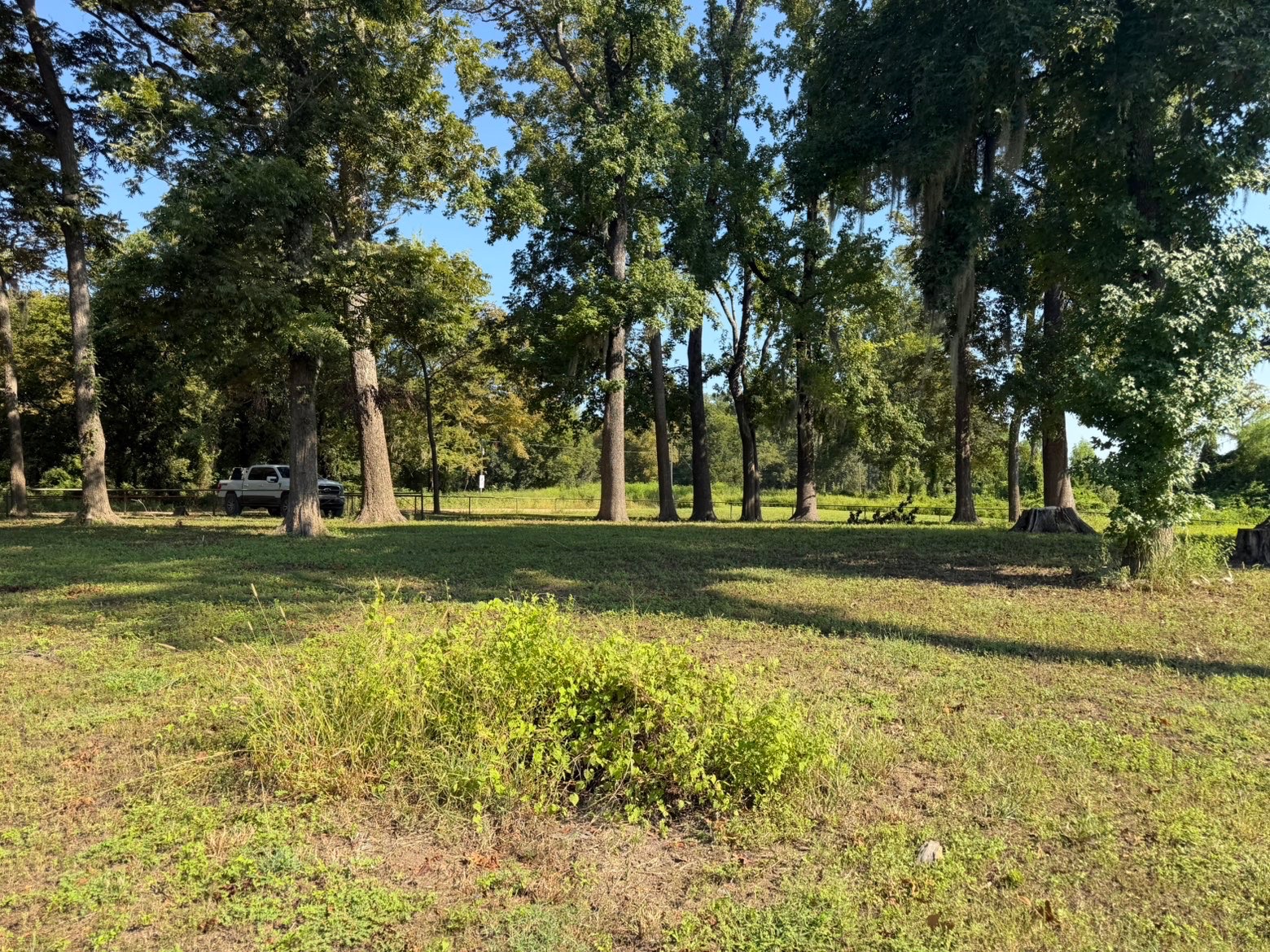 3.92 AC M/L LAKE MARY RD, WOODVILLE, MS – $67,500