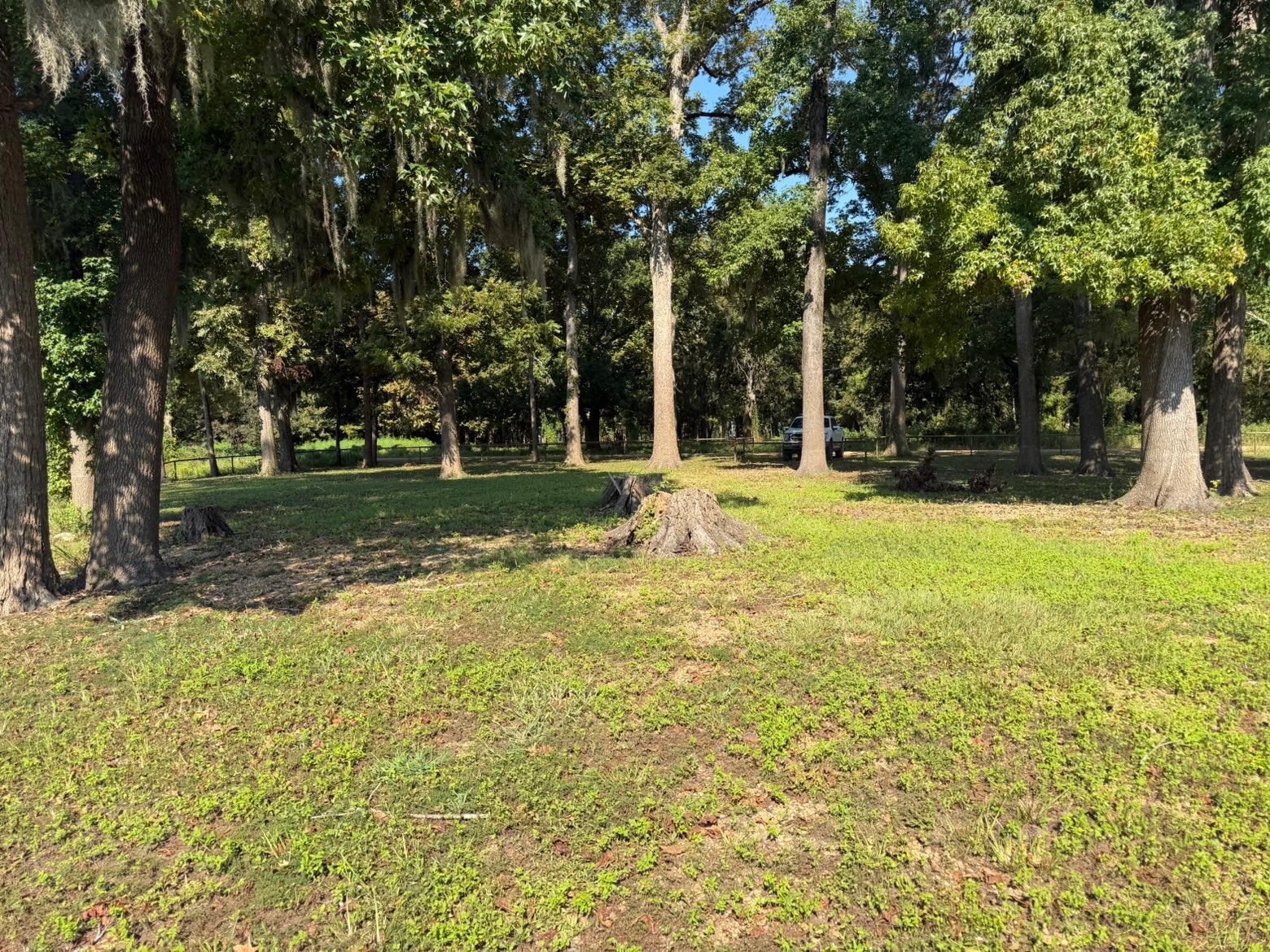3.92 AC M/L LAKE MARY RD, WOODVILLE, MS – $67,500