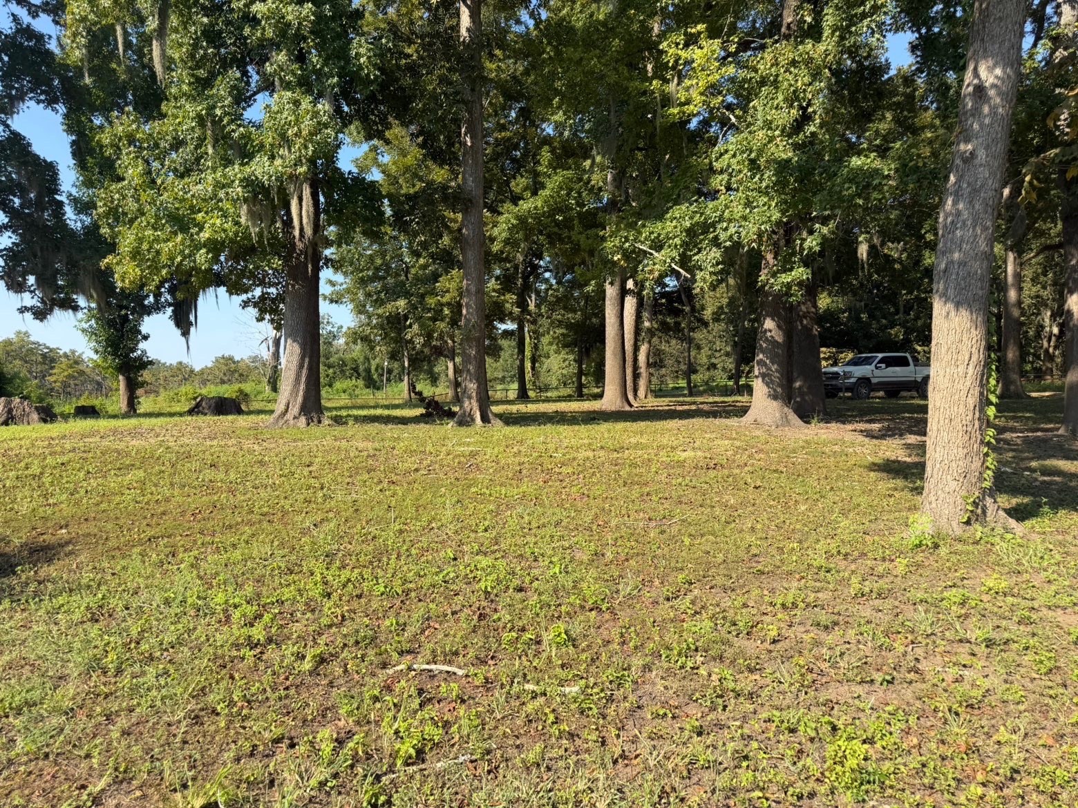 3.92 AC M/L LAKE MARY RD, WOODVILLE, MS – $67,500