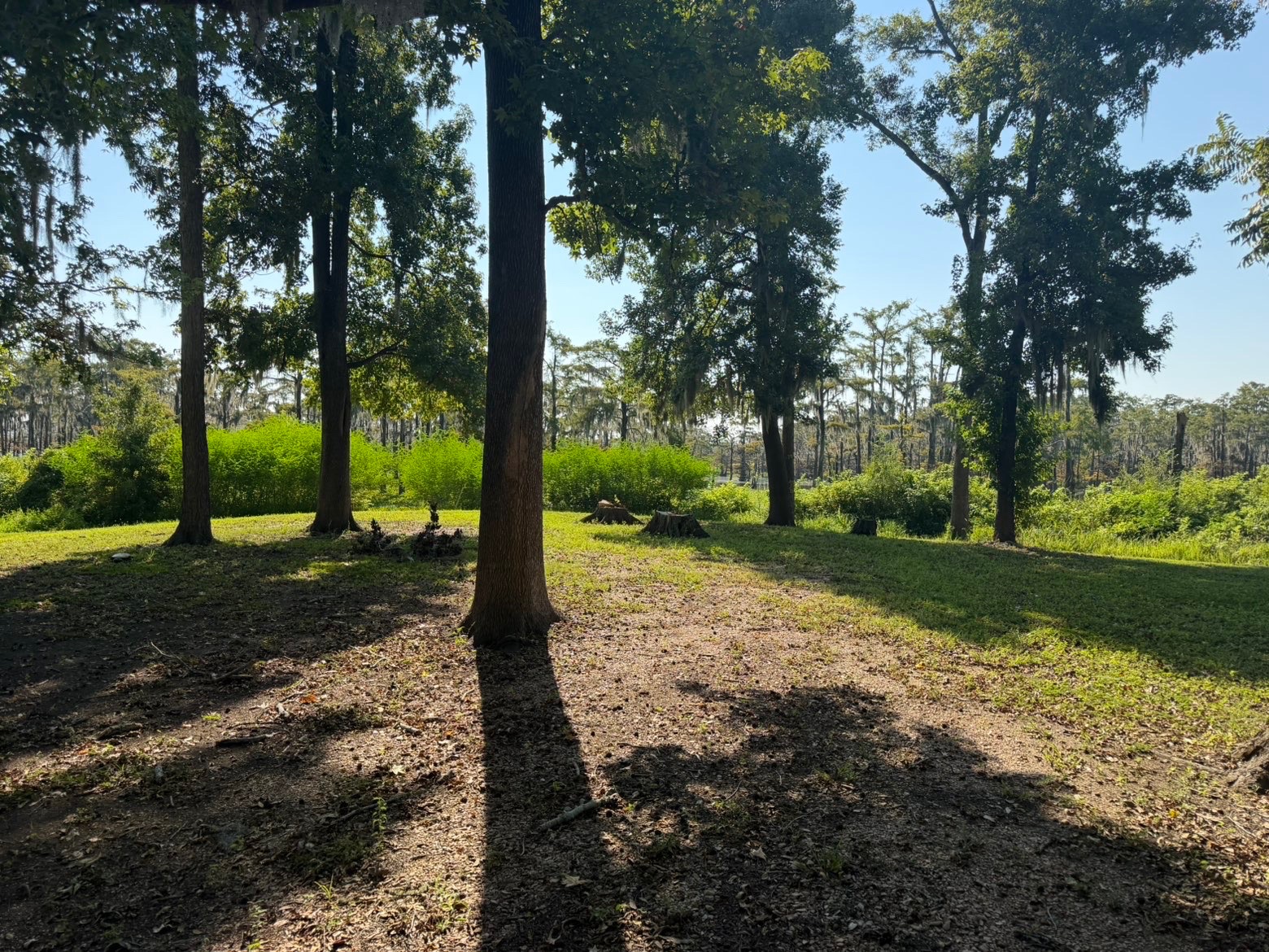 3.92 AC M/L LAKE MARY RD, WOODVILLE, MS – $67,500
