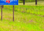 FOR SALE: 171.71 Acres- The Berwick/Cassels Tract- Amite County , Mississippi