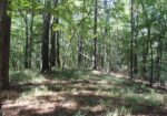 33 ACRES in AMITE COUNTY, MISSISSIPPI