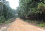 33 ACRES in AMITE COUNTY, MISSISSIPPI
