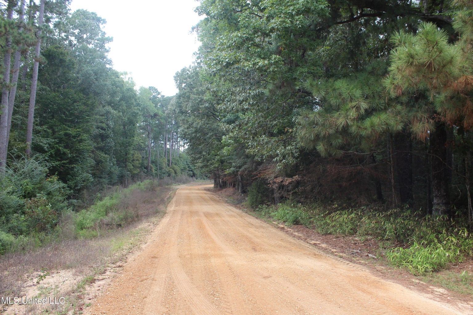 33 ACRES in AMITE COUNTY, MISSISSIPPI