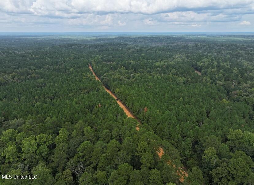 33 ACRES in AMITE COUNTY, MISSISSIPPI