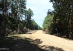 33 ACRES in AMITE COUNTY, MISSISSIPPI