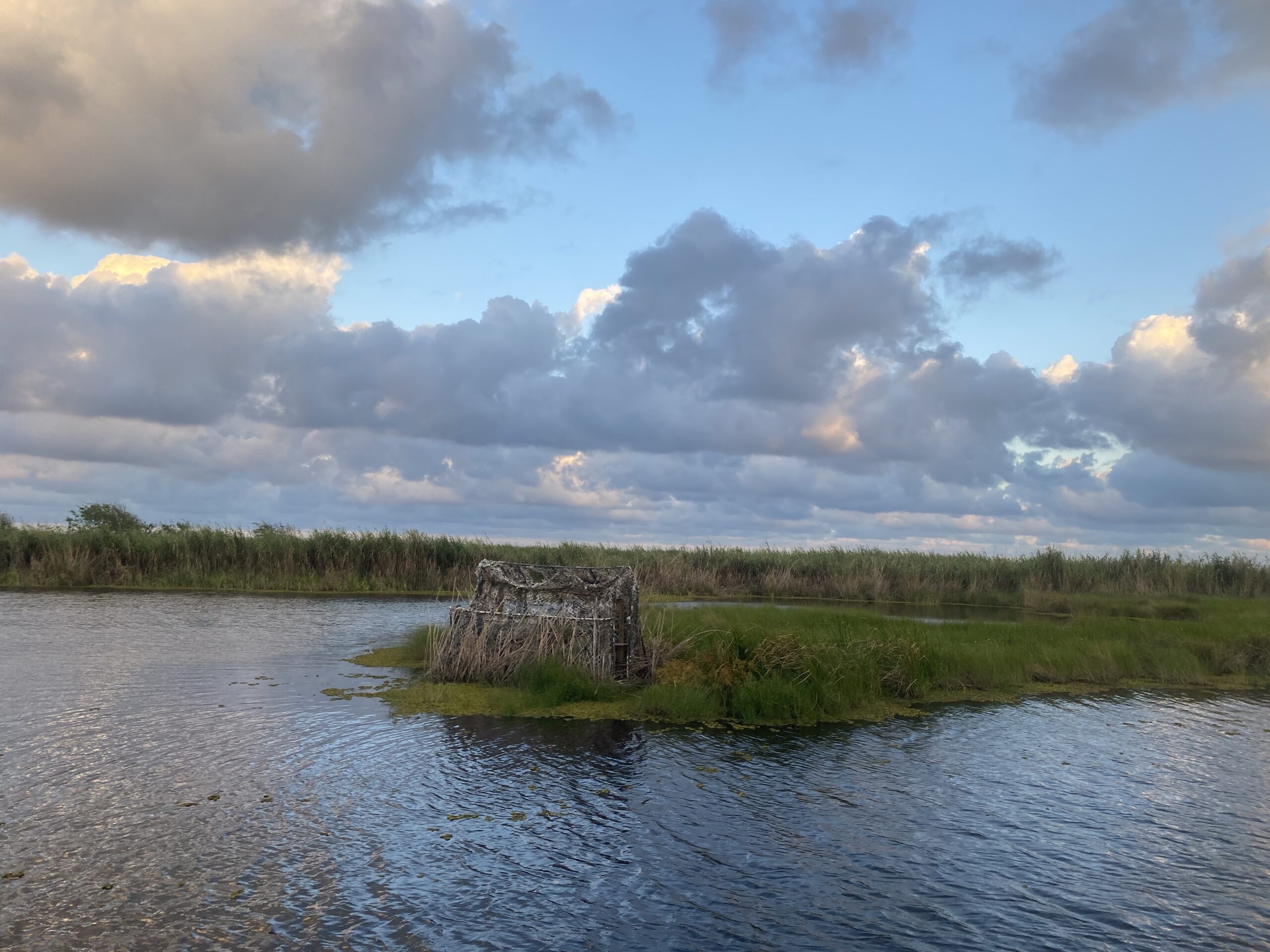 Duck Blind for lease