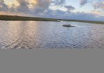 Duck Blind for lease