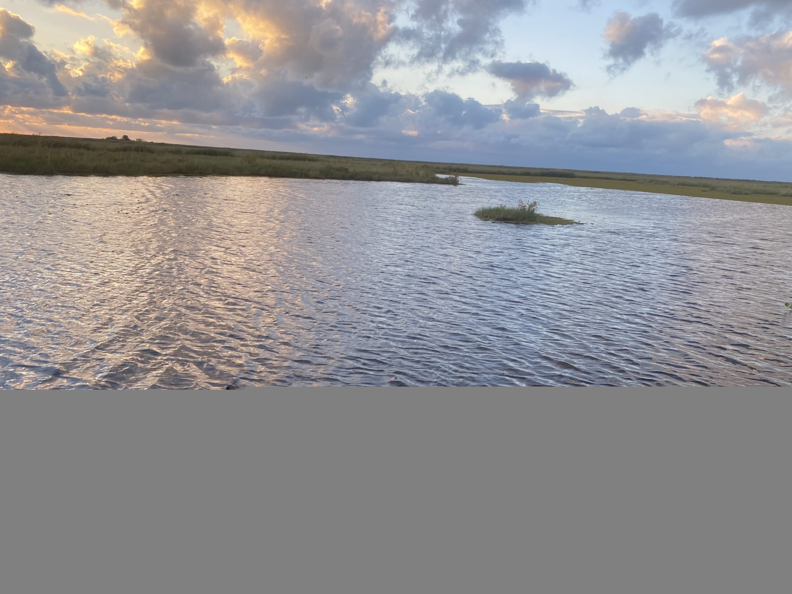 Duck Blind for lease