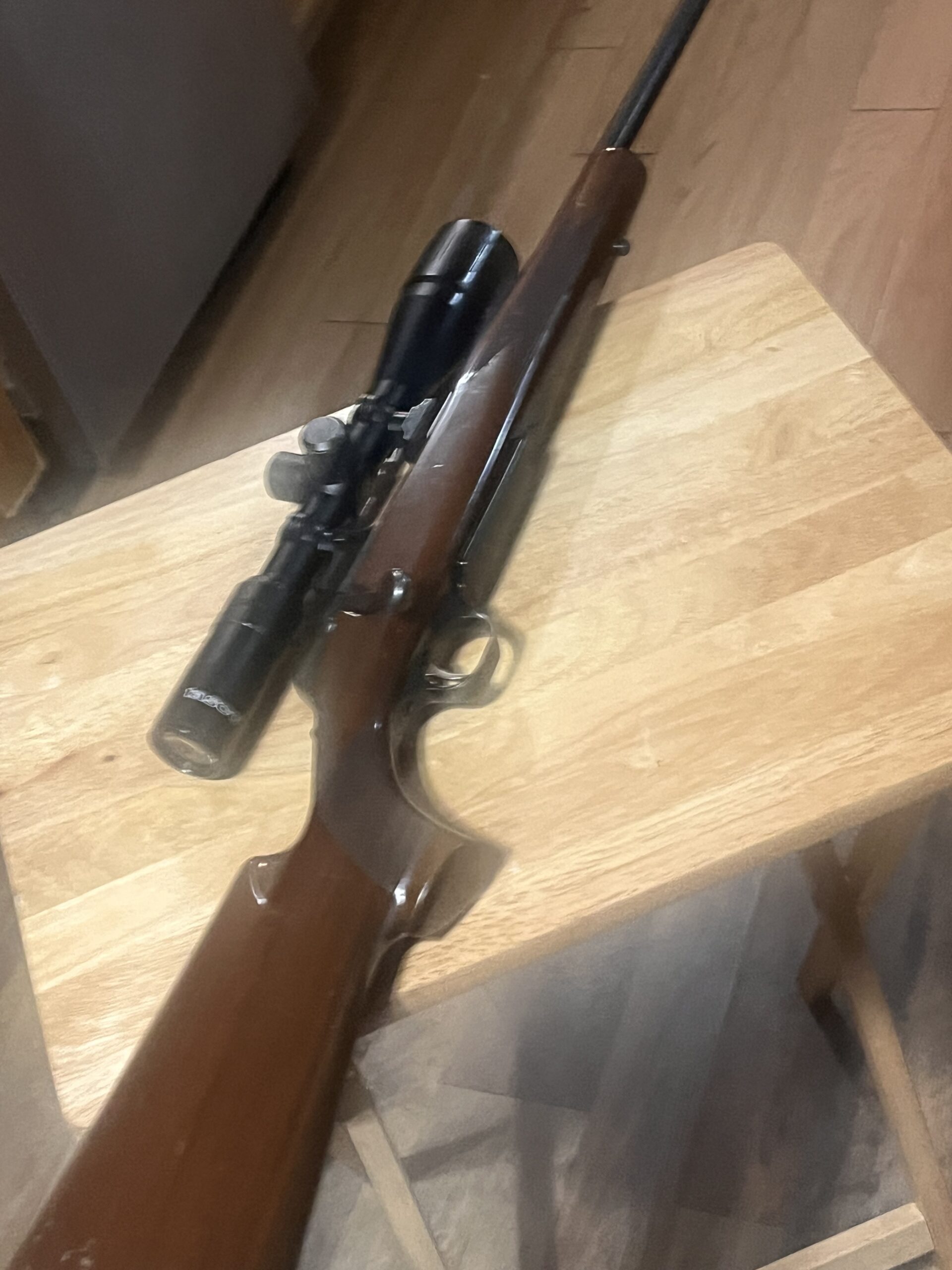 wts browning 243