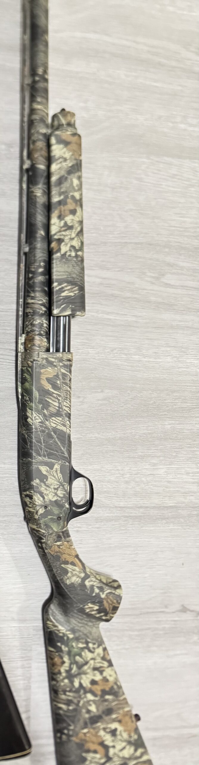 Remington nylon 66 $800 Browning BPS 12ga 3-1/2 $600 Taurus TX22 compact threaded barrel $550