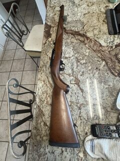 FOR SALE: RUGER 10/22 LR, MANNLICHER MOD 01130, 1995