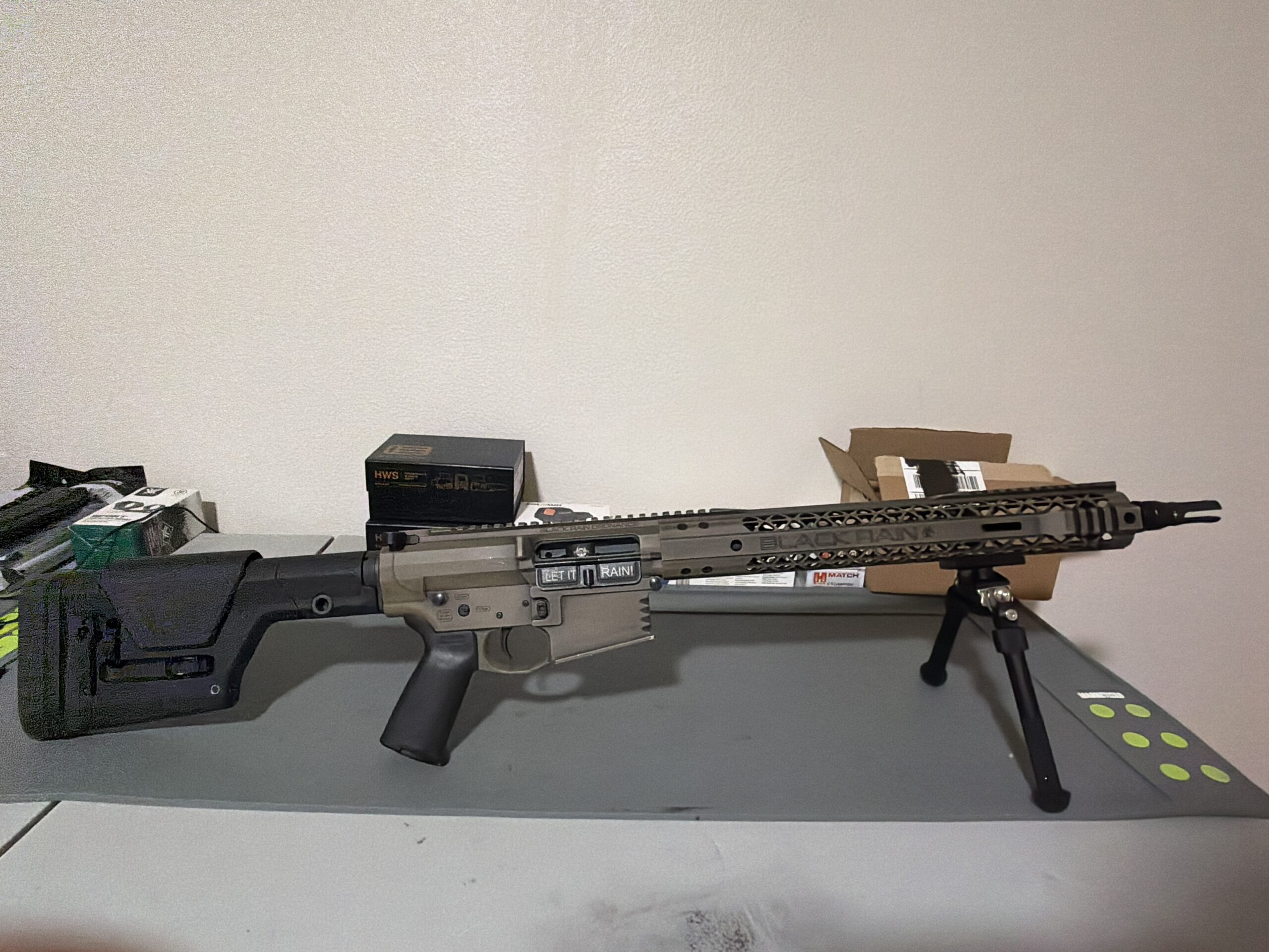 Black Rain AR10 in 308