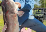 Hooked on Country Fishing/Hunting Camp – Atchafalaya Area – Short-Term Rental
