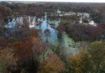 Duck Hunting Lease – Swamp Lake near Eunice, LA – 2026-2027 Duck Season