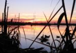 45.5 Acre tract and 15 acre additional tract in Dularge–hunting, fishing, bayouside included