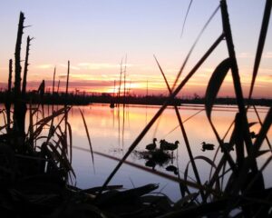IMG_0003