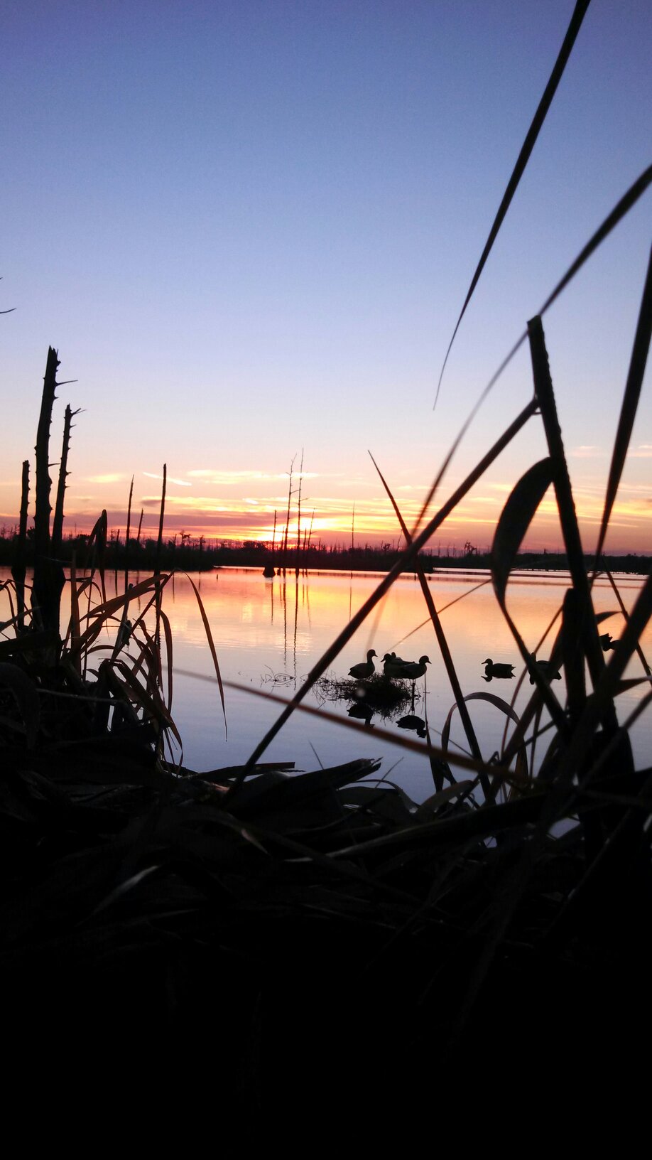 45.5 Acre tract and 15 acre additional tract in Dularge–hunting, fishing, bayouside included