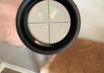 Swarovski Z6 2-12X50 Rifle Scope, Excellent!