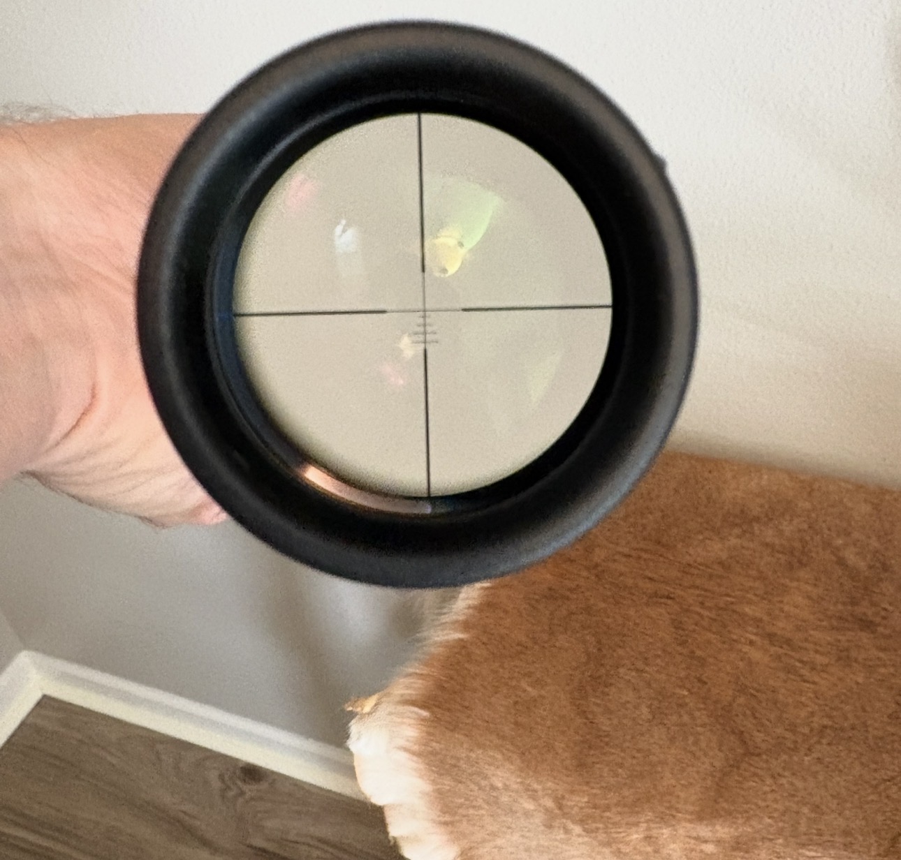 Swarovski Z6 2-12X50 Rifle Scope, Excellent!