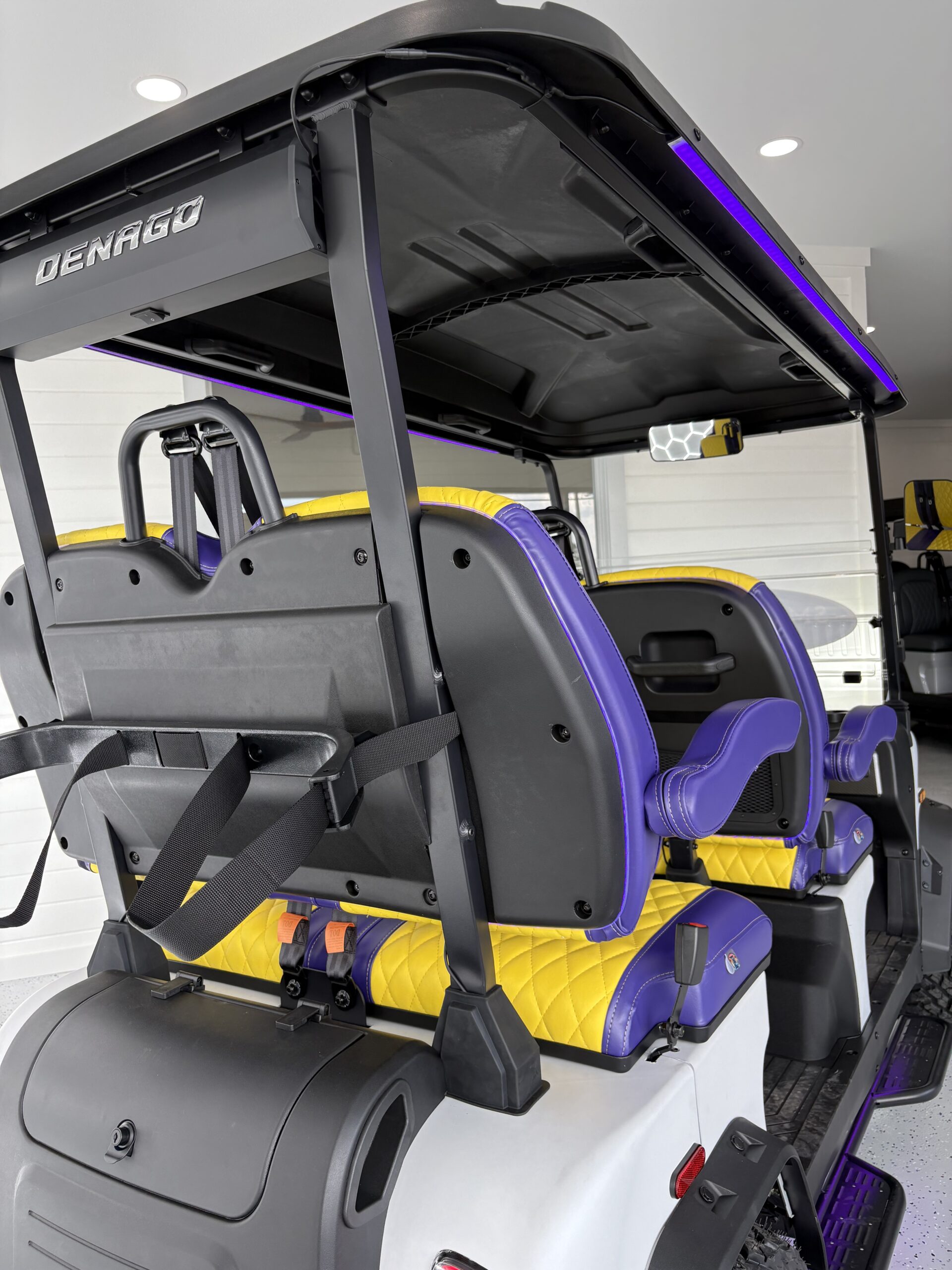 Custom 2026 Denago Rover XL LSV