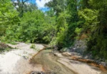 Franklin County Mississippi Home Country Estate 10.5 Acres 2 Creeks
