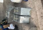 Havahart Live Animal Traps