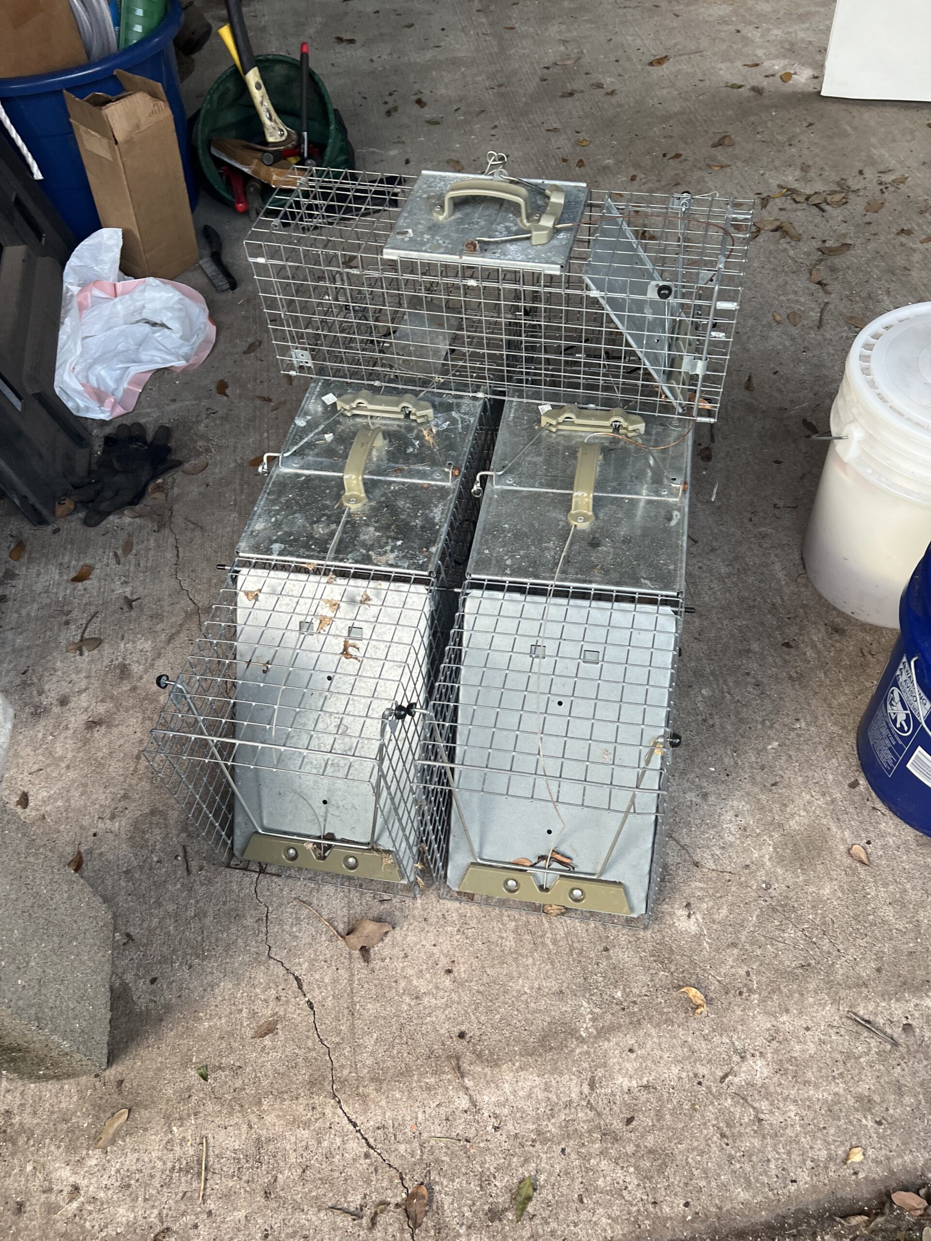 Havahart Live Animal Traps
