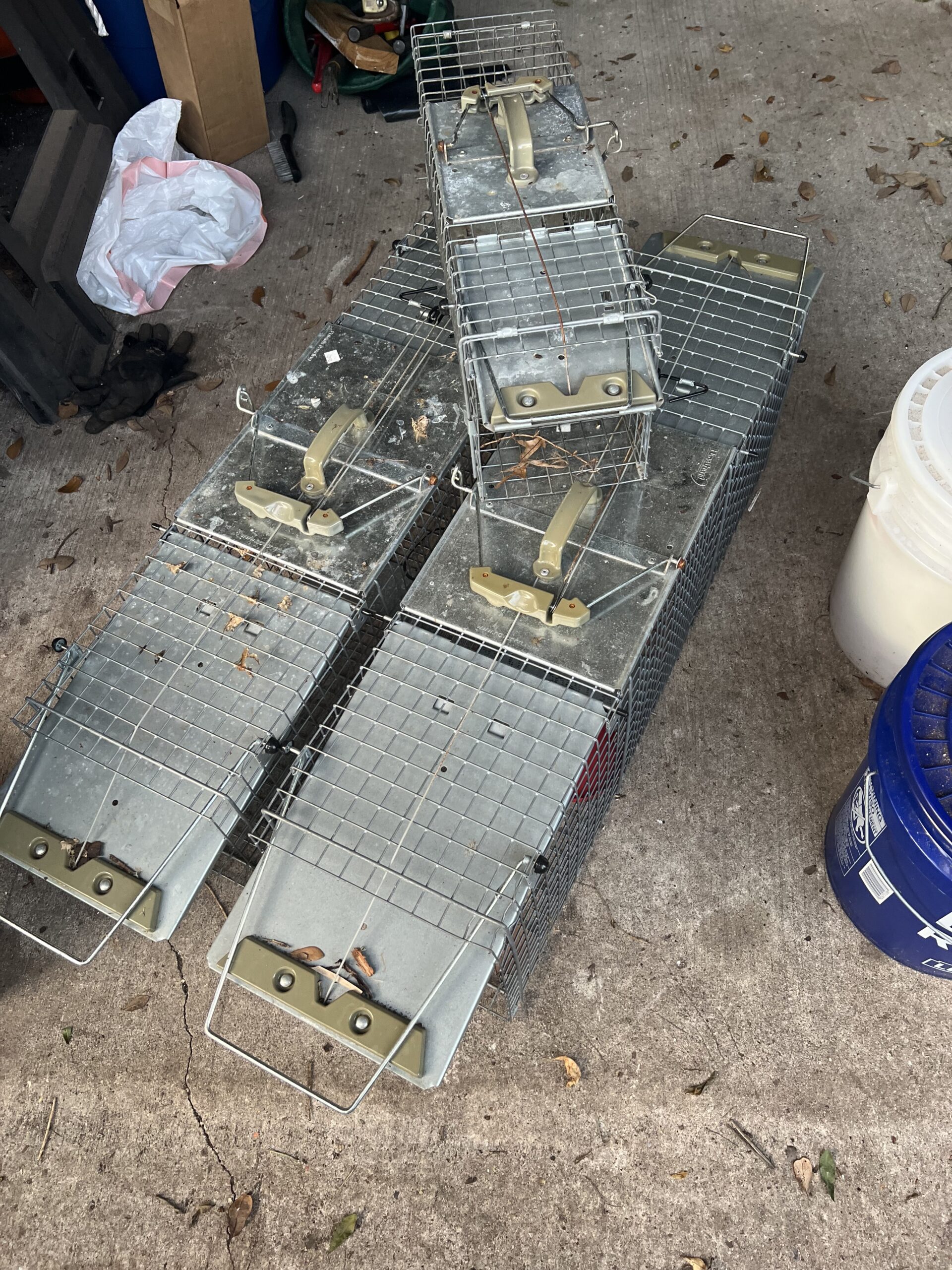Havahart Live Animal Traps