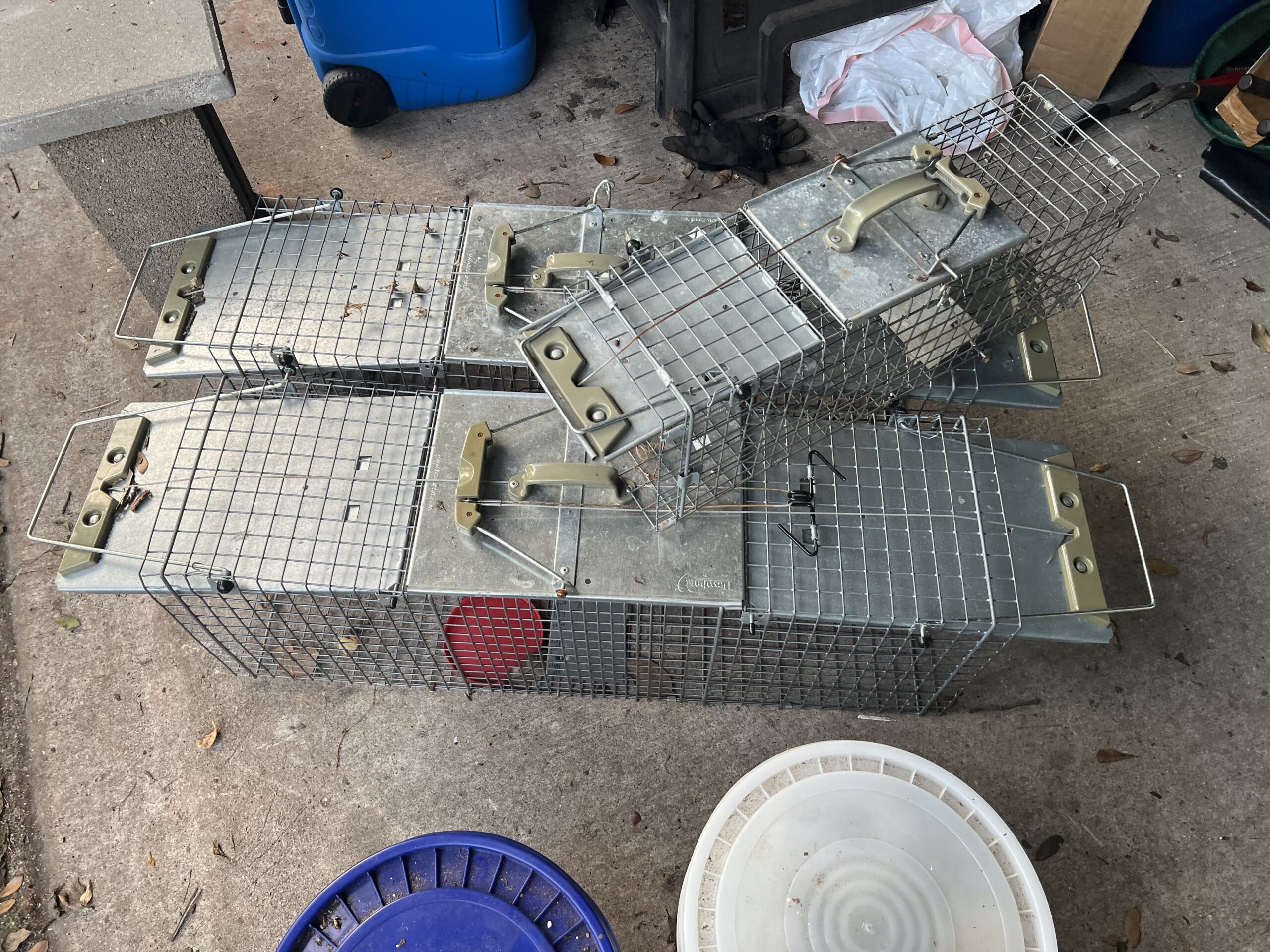 Havahart Live Animal Traps